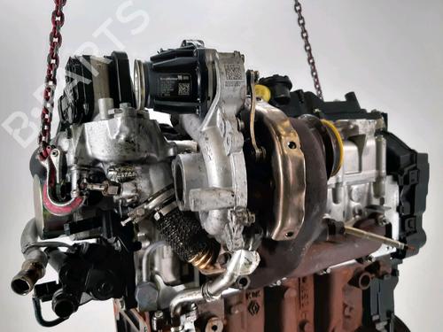 Engine RENAULT CLIO V (B7_) 1.5 Blue dCi 115 (B7AD) | BP31876176M1 