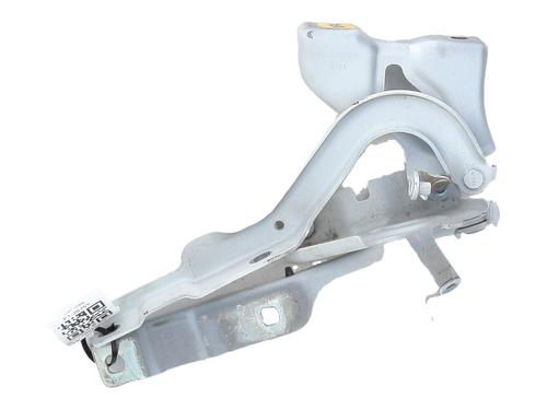 Used Hinge/Door check strap Hinge/Door check strap DACIA SANDERO III 1.0 TCe 100 (101 hp) 35798618 35798618