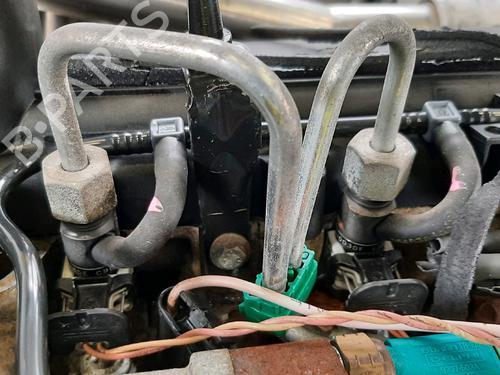 Engine RENAULT TWINGO II (CN0_) 1.5 dCi (CN0E) | BP31079866M1 