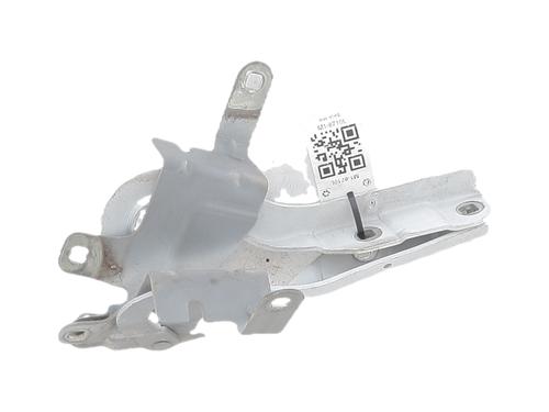 Used Hinge/Door check strap Hinge/Door check strap RENAULT CLIO IV (BH_) 1.5 dCi 90 (90 hp) 40035196 40035196