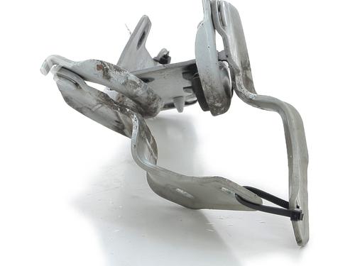 Hinge/Door check strap RENAULT CLIO III (BR0/1, CR0/1)  | BP27908684C146 