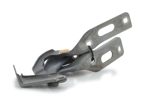 Hinge/Door check strap SEAT LEON (1P1)  | BP27912548C146 