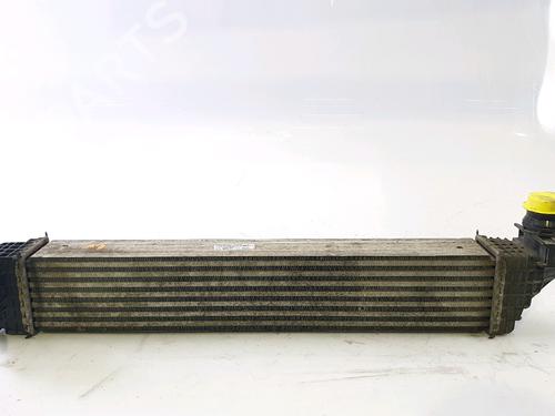 Intercooler RENAULT SCÉNIC III (JZ0/1_) 1.6 dCi (JZ00, JZ12) | BP29470948M30 