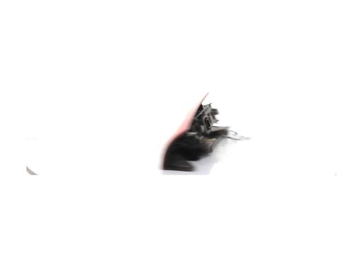Left taillight RENAULT KANGOO Express (FW0/1_) | BP38918053C34 - Image 5