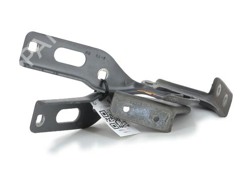 Hinge/Door check strap SEAT LEON (1P1)  | BP27912548C146 