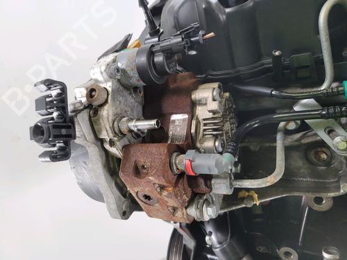 Engine RENAULT LAGUNA II (BG0/1_)  | BP30503530M1 