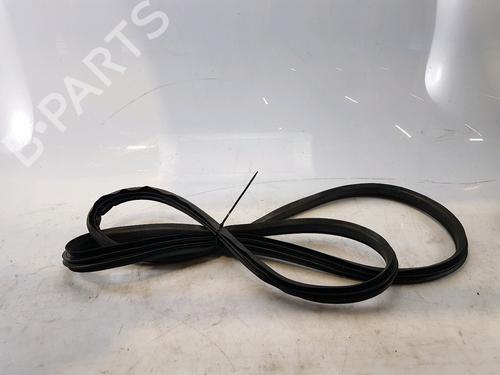 Used Rubber door seal ABARTH 500E Hatchback (332_) Scorpionissima (155 hp) 27901163