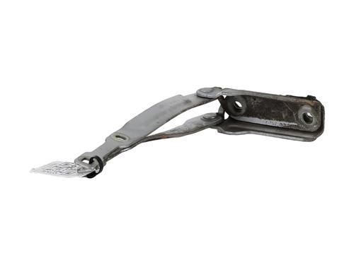 Hinge/Door check strap DACIA SANDERO II TCe 90 (B8M1, B8MA, B8AC) | BP29265549C146 