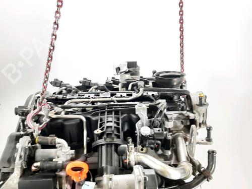 Engine SEAT IBIZA IV (6J5, 6P1) 1.6 TDI | BP32255956M1 