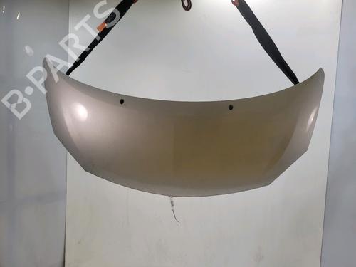 hood-renault-twingo-ii-cn0_-2007-38947469 main image