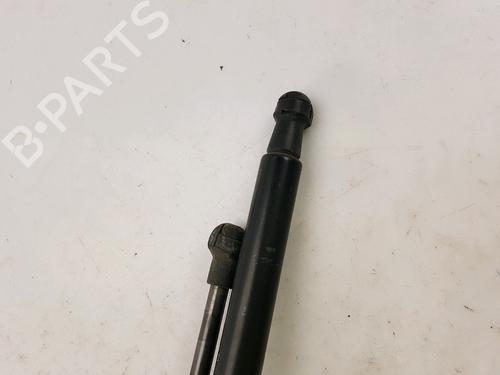 Tailgate lift support NISSAN QASHQAI I (J10, NJ10) 1.6 dCi | BP27916861C138 