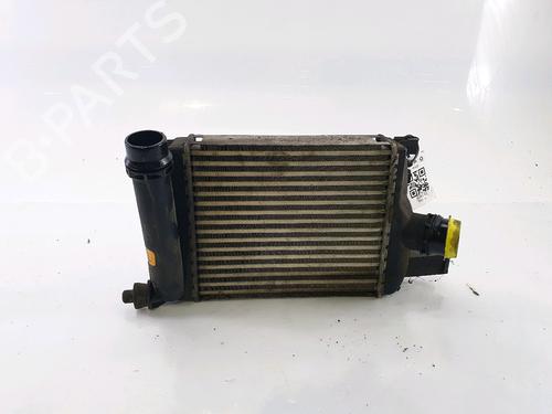 Used Intercooler DACIA SANDERO II 1.5 dCi (90 hp) 24604844