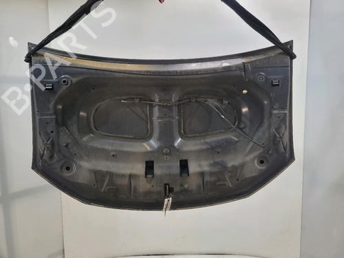 Hood DACIA SANDERO II 1.2 | BP29849562C1 