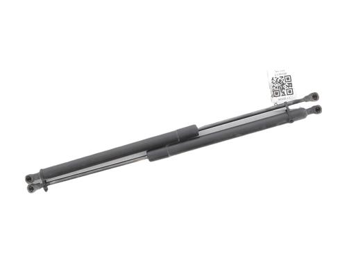 Heckklappendämpfer für Heckklappendämpfer 37017090 37017090