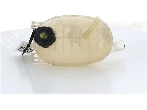 Used Expansion tank DACIA DOKKER MPV (KE_) 1.5 Blue dCi 95 (KEJL) (95 hp) 22614056