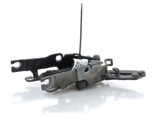 Hinge/Door check strap PEUGEOT RCZ 1.6 16V | BP27903357C146