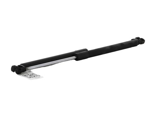Tailgate lift support RENAULT CLIO III (BR0/1, CR0/1)  | BP27911550C138 