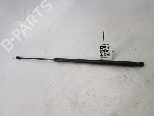 Used Hood lift support SAAB 9-3 (YS3F, E79, D79, D75) 1.9 TiD (150 hp) 27916969