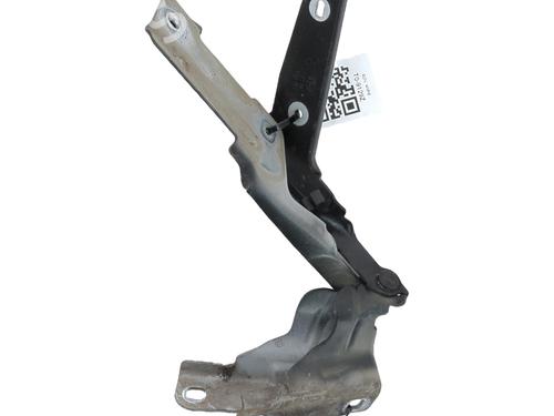 Used Hinge/Door check strap CITROËN C4 Coupe (LA_) 1.6 HDi (90 hp) 29232078