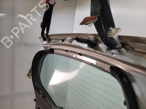 Tailgate RENAULT CLIO III (BR0/1, CR0/1) 1.5 dCi | BP29874923C6
