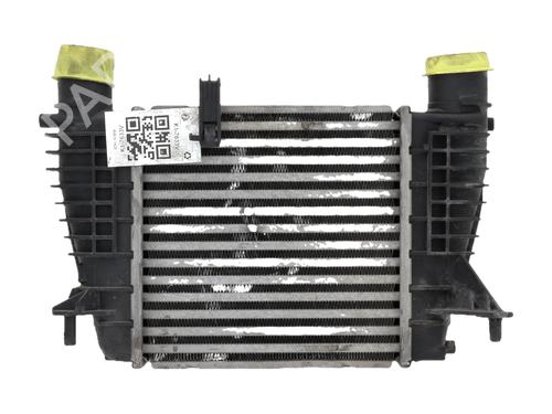 Intercooler Intercooler RENAULT CLIO III (BR0/1, CR0/1) 1.2 16V (BR0P, CR0P) (101 hp) 37532732 37532732