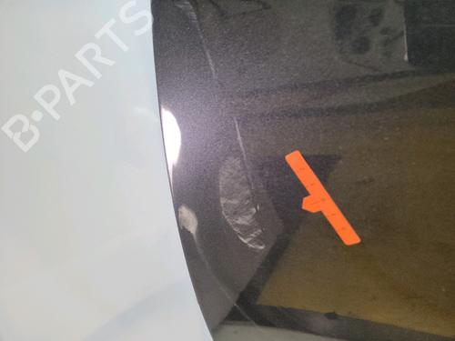 Left front door RENAULT MEGANE III Coupe (DZ0/1_) 1.5 dCi (DZ09, DZ0D, DZ1F, DZ1G, DZ14, DZ29) | BP29390231C2 