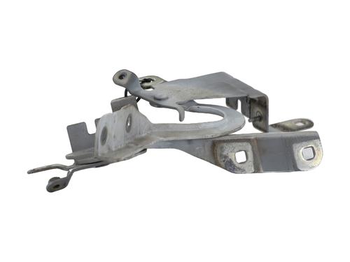 Hinge/Door check strap RENAULT CLIO IV (BH_) 1.5 dCi 90 | BP28971951C146 