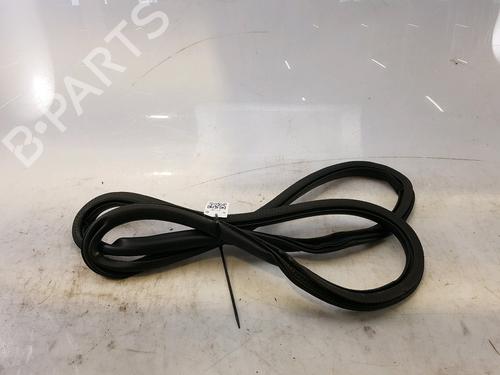 Used Rubber door seal CITROËN C4 III (BA_, BB_, BC_) 1.2 PureTech 130 (BAHNSA, BAHNSB) (130 hp) 25830693