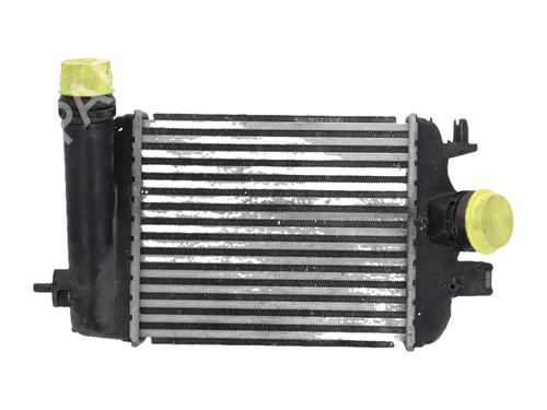 Intercooler Intercooler RENAULT CLIO V (B7_) 1.0 TCe 90 (B7MT) (91 hp) 36592625 36592625