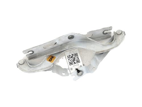 Used Hinge/Door check strap VW POLO VI (AW1, BZ1, AE1) 2.0 GTI (200 hp) 31057459