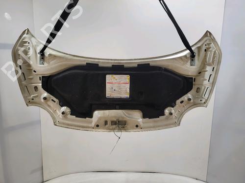 Hood FIAT 500 (312_) 1.3 D Multijet (312AXB1A) | BP29740842C1 