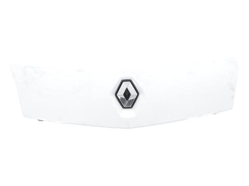 grille-renault-kangoo-express-fw01_-2008-35748498 main image