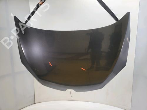 hood-renault-megane-iii-hatchback-bz01_-b3_-2008-40114775 main image