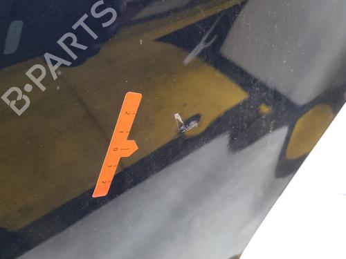 Left rear door DACIA SANDERO 1.4 (BS0C, BS0A, BS0G, BS1F, BS0E) | BP28310549C4 