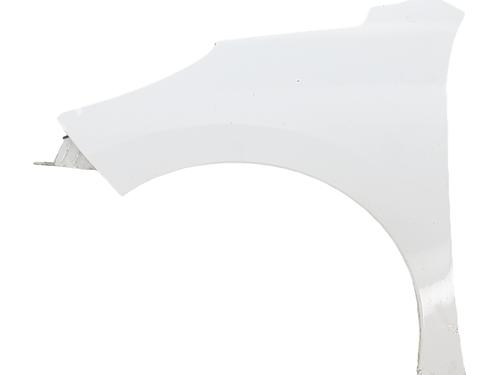 Used Left front fenders PEUGEOT 207 (WA_, WC_) 1.4 HDi (68 hp) 30828379