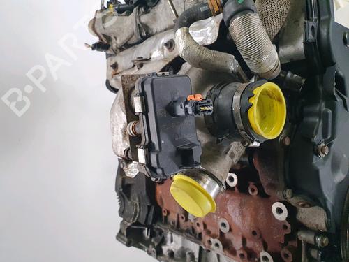Engine LAND ROVER RANGE ROVER EVOQUE (L538) 2.2 D 4x4 | BP39160484M1 - Image 6