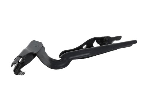 Hinge/Door check strap VW GOLF SPORTSVAN VII (AM1, AN1) 1.4 TSI | BP29198591C146