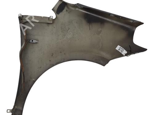 Left front fenders LANCIA MUSA (350_) 1.3 D Multijet (350.AXM11, 350.AXM1A, 350.AXI1A) | BP29110538C41 