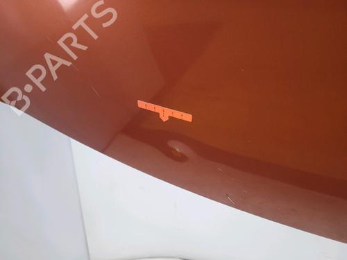 Hood RENAULT CLIO III (BR0/1, CR0/1) 1.5 dCi (BR0H, CR0H, CR1S, BR1S) | BP24120117C1 