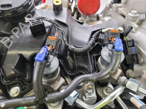 Motor RENAULT KANGOO Express (FW0/1_) 1.5 dCi 95 (FW16) | BP29874422M1