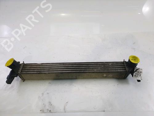 Used Intercooler SEAT IBIZA IV (6J5, 6P1) 1.6 TDI (90 hp) 25209157
