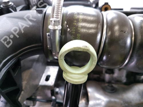 Engine CITROËN JUMPY II Van 1.6 HDi 90 8V | BP32487694M1 