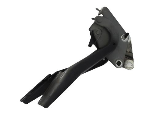 Used Hinge/Door check strap RENAULT MEGANE III Hatchback (BZ0/1_, B3_) 1.5 dCi (BZ09, BZ0D, BZ1W, BZ29, BZ14) (110 hp) 32007187