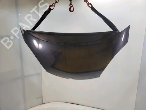 Used Hood CITROËN C4 Picasso I MPV (UD_) 2.0 HDi 138 (136 hp) 30503641