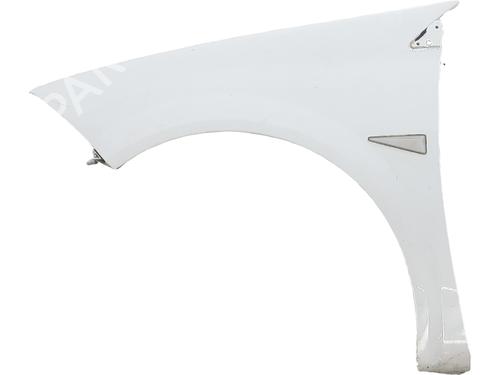 Used Left front fenders RENAULT MEGANE II (BM0/1_, CM0/1_) 1.4 16V (BM0B, CM0B) (98 hp) 30449599