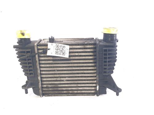 Used Intercooler RENAULT CLIO III (BR0/1, CR0/1) 1.5 dCi (BR17, CR17) (86 hp) 29741290