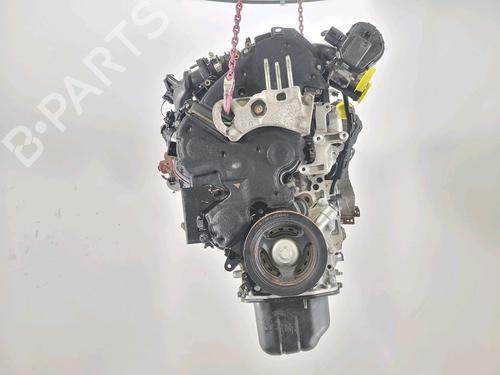 Used Engine FORD FIESTA VI (CB1, CCN) 1.6 TDCi (95 hp) 30190701