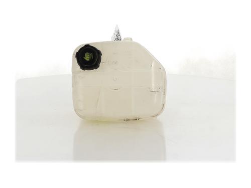 Used Expansion tank RENAULT KANGOO Express (FW0/1_) Z.E. (FW0Z, FW1Z) (60 hp) 26039231