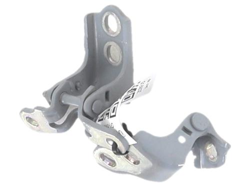 hingedoor-check-strap-renault-clio-v-b7_-2019-37065218 main image