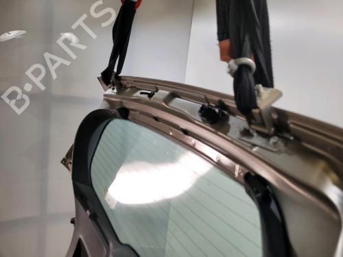 Tailgate RENAULT CLIO III (BR0/1, CR0/1) 1.5 dCi | BP31032449C6